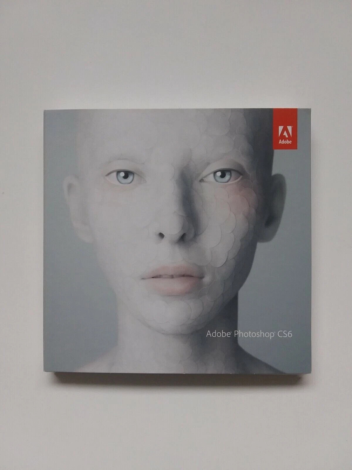 Adobe Photoshop CS6 for Windows - Disc and Serial Number | eBay