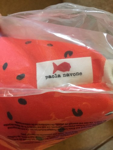 Crate & Barrel And Outdoor Watermelon Cushion Pillow Paola Navone New