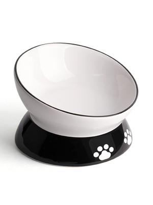 LoeJan Elevated Cat Food Bowl, 15 Oz Ceramic Raised and Tilted Pet Water Bowl...