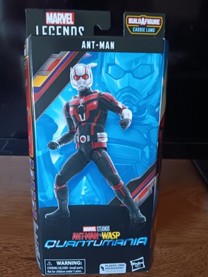 NEW Hasbro Marvel Legend Ant-Man 6'' Inch Action Figure Quantumania Paul Rudd MCU