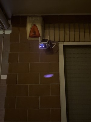 Foto dell'oggetto di un acquirente verificato