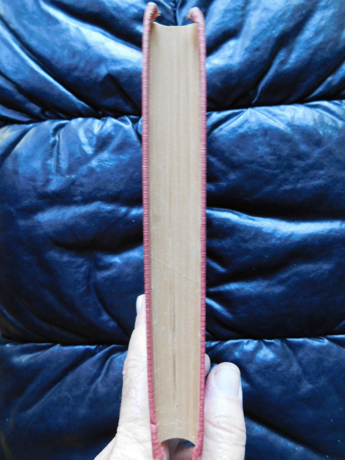 To Cariboo and Back ~ M. Ella Chaffey, Vintage Children & Young Adult, Hardcover