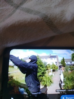 Artikelfoto(s) von einem verifizierten Käufer