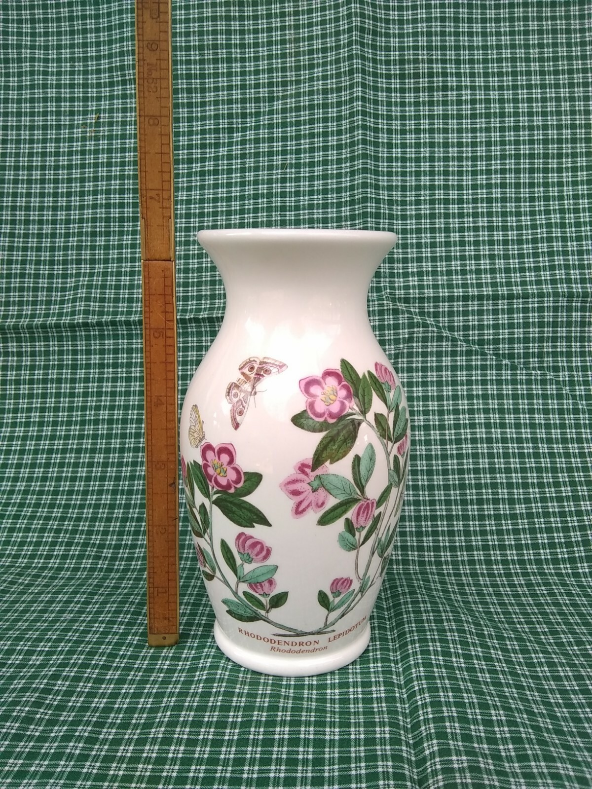 Rhododendron Lepidotum Portmeirion Botanic Garden Vase