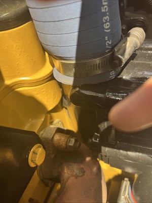 Fotos del artículo de un comprador verificado