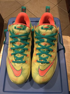 lebron x11