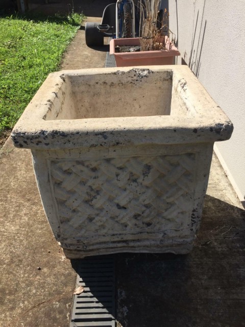 Concrete Garden Pot | Pots & Garden Beds | Gumtree Australia Brisbane