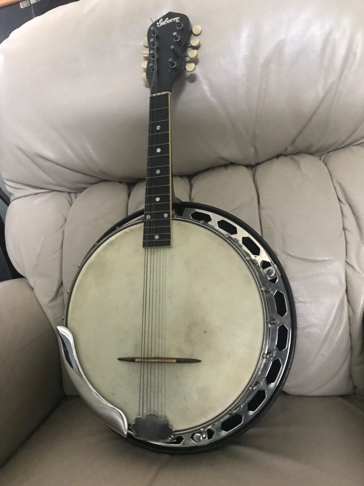 antique Gibson banjo / mandolin