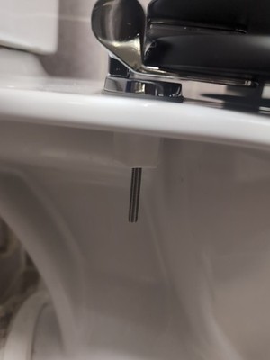 Foto dell'oggetto di un acquirente verificato
