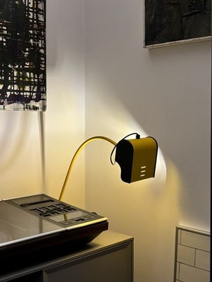 Foto dell'oggetto di un acquirente verificato