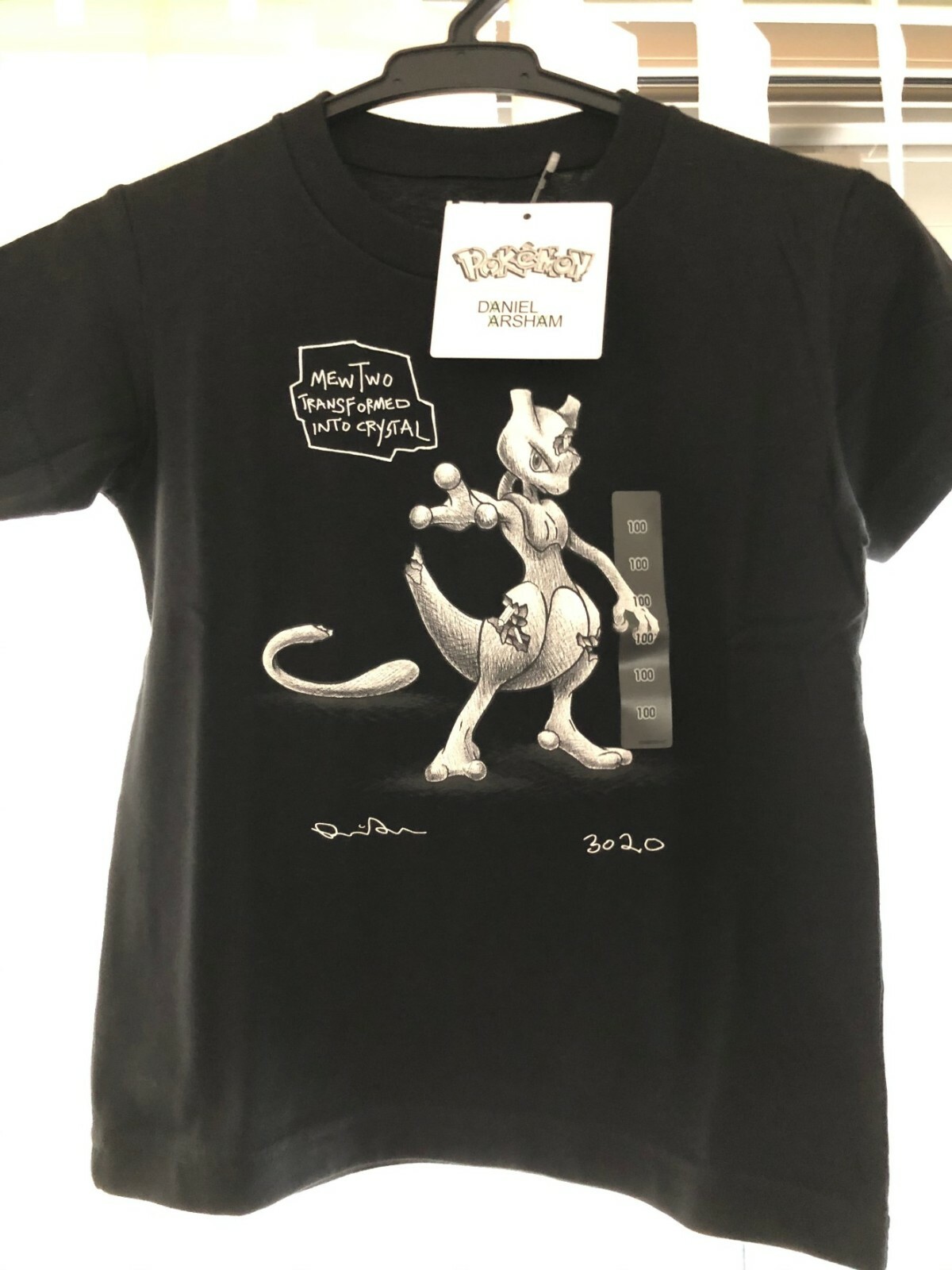daniel arsham ポスター 3点セット 数量限定 Daniel Arsham x Pokemon ポスター3枚セット ポケモン
