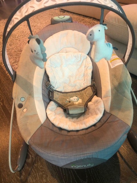 ingenuity bouncer baby bunting