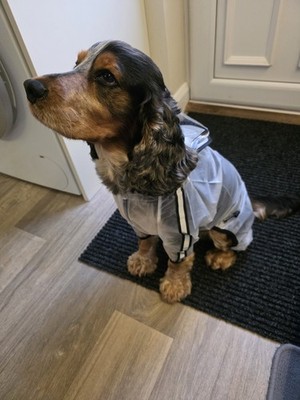 Artikelfoto(s) von einem verifizierten Käufer