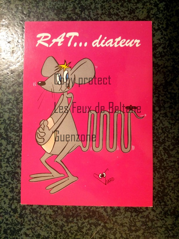 Rat Diateur Radiateur Radiator  French Joke  Humour   Carte Postale Postcard  