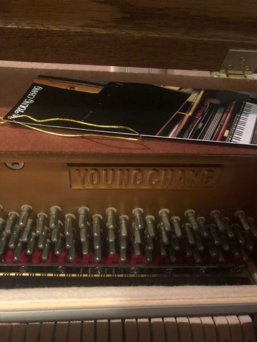 52” Professional Upright Young Chang Piano