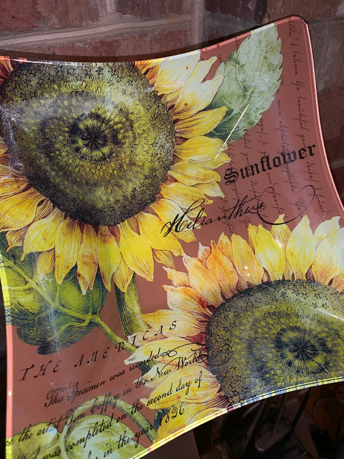 Elegant Beautiful Glass SUNFLOWER Glaze Dip Square Bowl 10.5 X 10.5 X 3” Deep