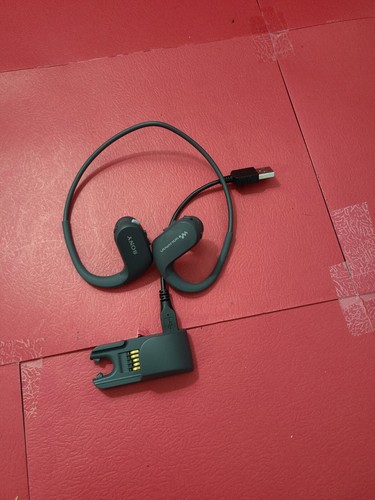 SONY Walkman 4GB headphone-integrated NW-WS413 Black | eBay