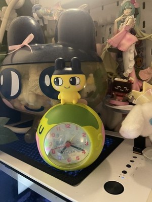 Photos de l'objet d'un acheteur vérifié