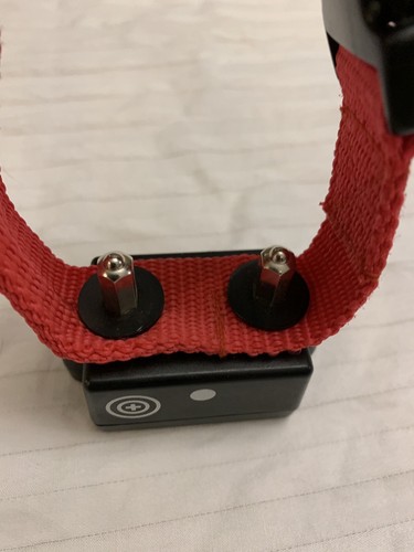 PetSafe Replacement Receiver Collar Only!  KE3 LDT-200