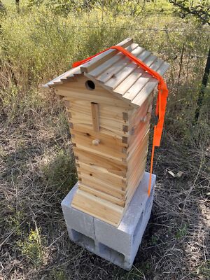 Small 10 X Auto Shed Honey Brood Wood Frame +Mini Wooden Bee Hive House