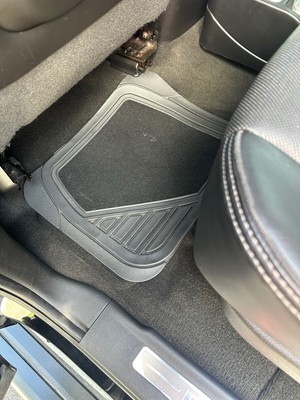 image 10 of interior