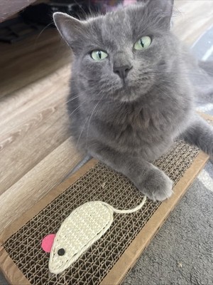 Zdjęcia przedmiotu od zweryfikowanego kupującego