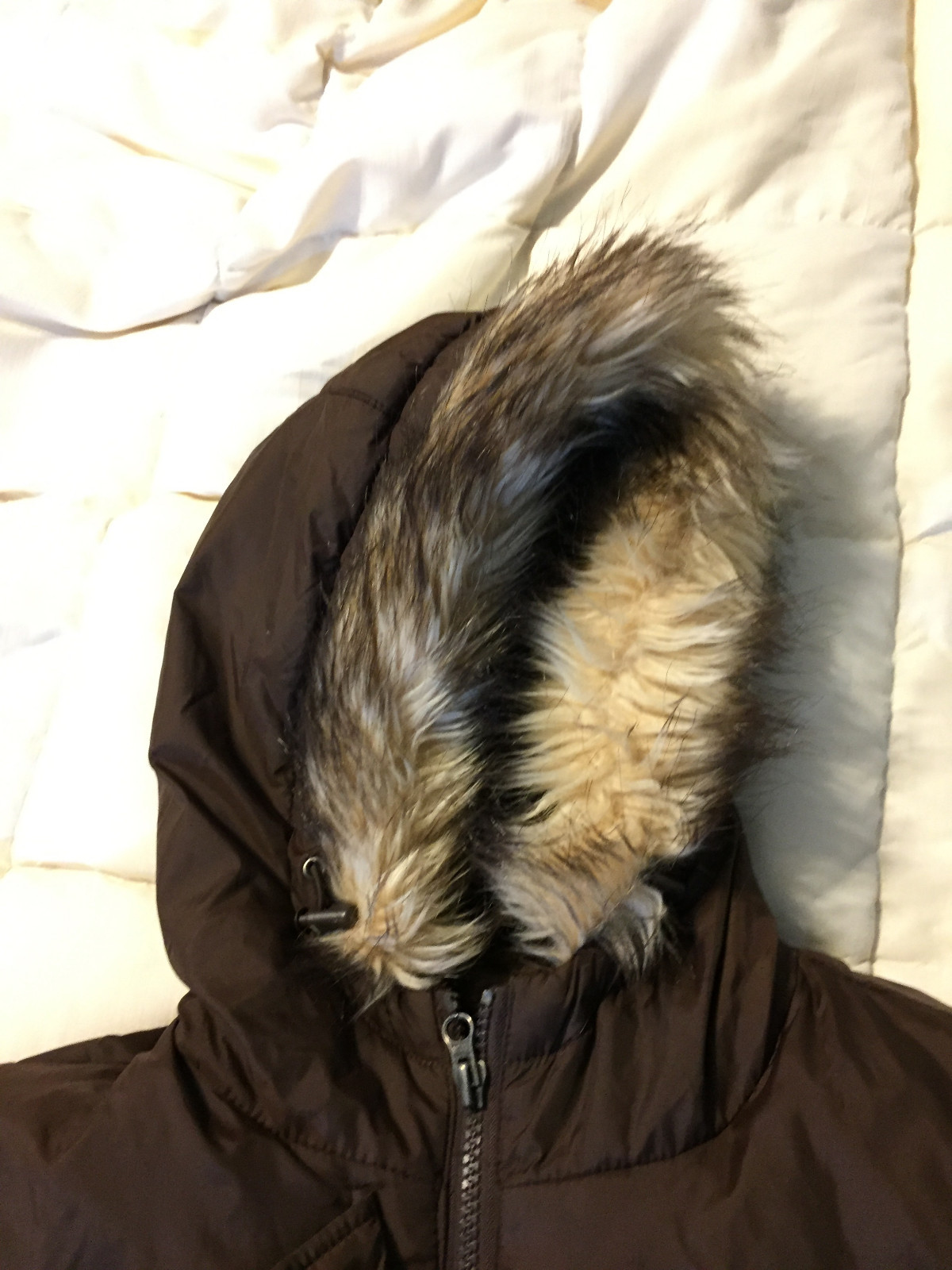 YOUTH AMERICAN EAGLE BROWN FAUX FUR HOOD ZIPPER FRONT JACKET COAT SIZE LARGE