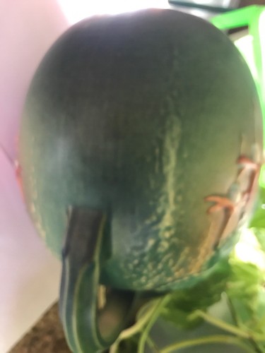 Vintage Roseville Pottery Fuchsia Ice-Lip Pitcher #1322, Ca. 1930s