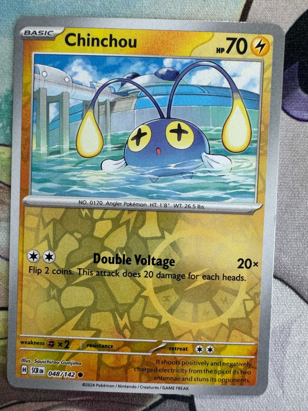 Chinchou Reverse Holo English Pokemon TCG BKBH455 | eBay Chinchou Reverse Holo English Pokemon TCG BKBH455 | eBay