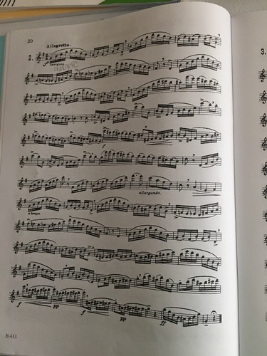 Melodious and Progressive Studies for Flute (Book 1) Robert Cavally Editions