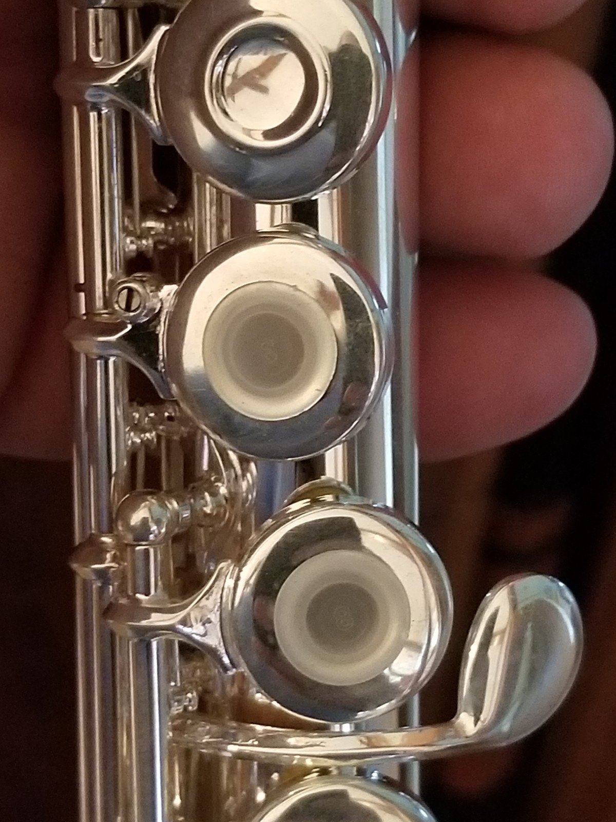 NEW Gemeinhardt 3OSB -NG1 Solid Silver Flute, Open-Hole, B-foot offset G 30SB