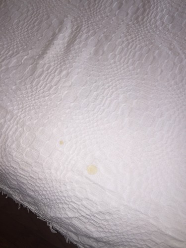 Morgan Jones White Full Cutter Bedspread