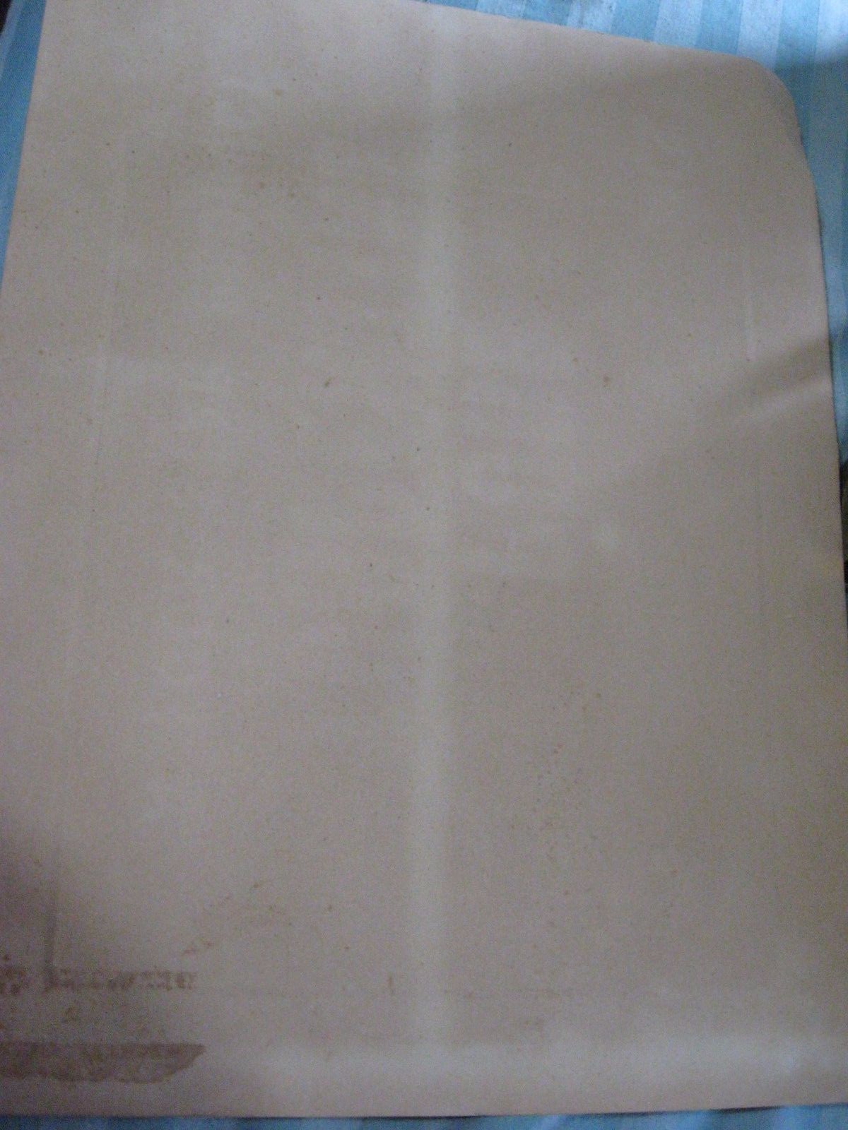 VTG Horse Racing Thoroughbred Filly REGRET RH Polenske Prince of the Turf print