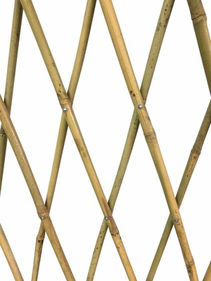 BAMBOO POLES TRELLIS 36 in. Expandable Plant Support Rust Decorative Purposes US