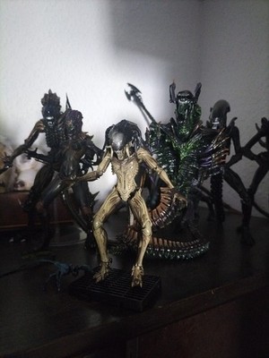 經驗證買家提供的物品圖片