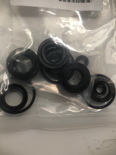 Cat Pumps 76977  OEM Seal kit  4SPX Pumps 4SPX32G1I