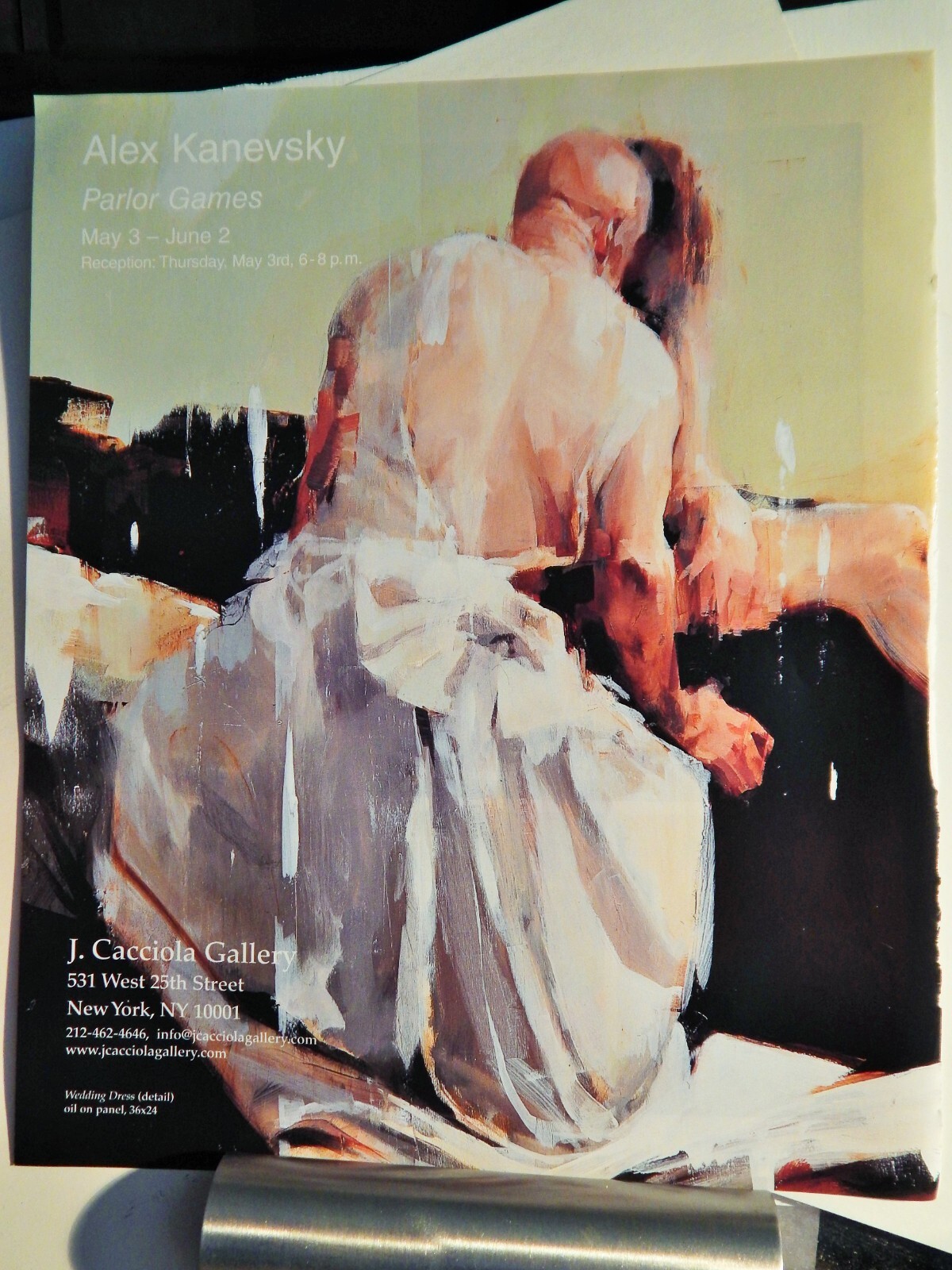 Alex Kanevsky 画集 Alex Kanevsky | Peter Selz