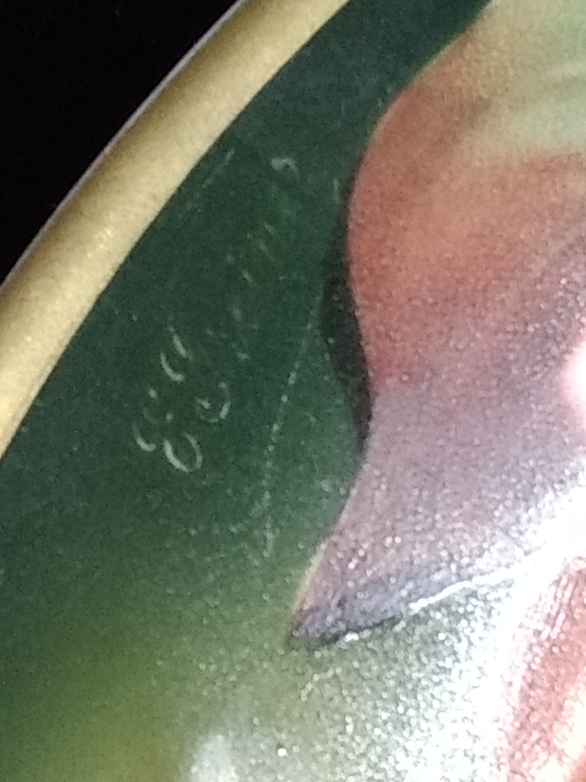 Antique THOMAS Sevres Bavaria Plate Hand Painted 