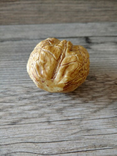 Vintage Old Stone Fruit Walnut Carved Alabaster Nut