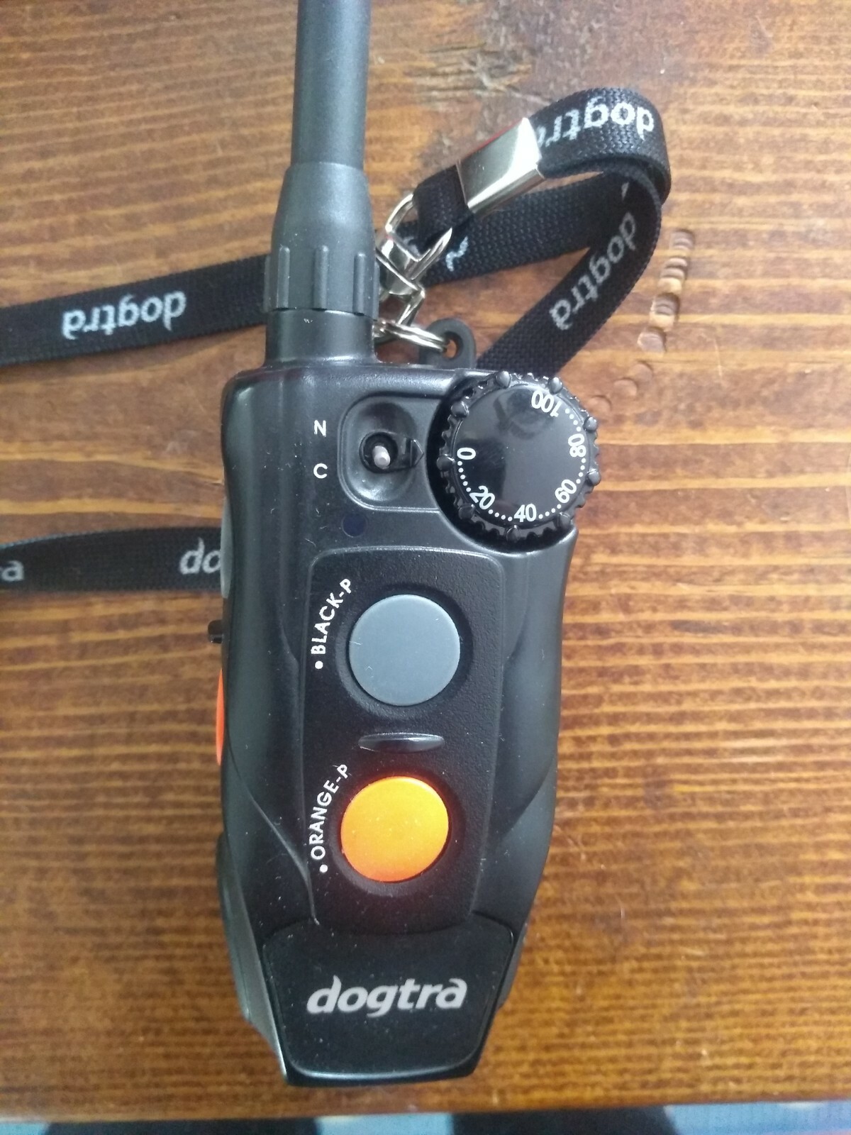 Dogtra 202C. 2 Dog Training Collar + Remote and charger.