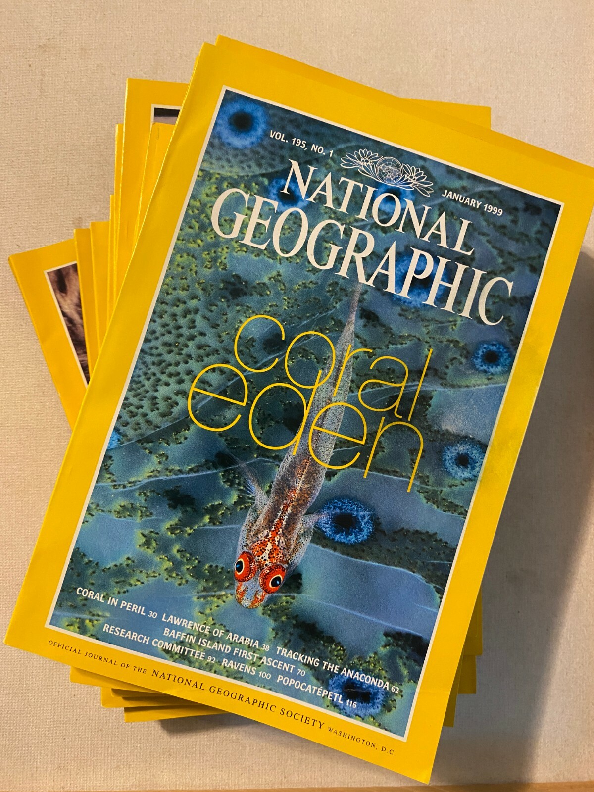 NATIONAL GEOGRAPHIC MAGAZINE FULL YEAR 1999 JANUARY TO DECEMBER