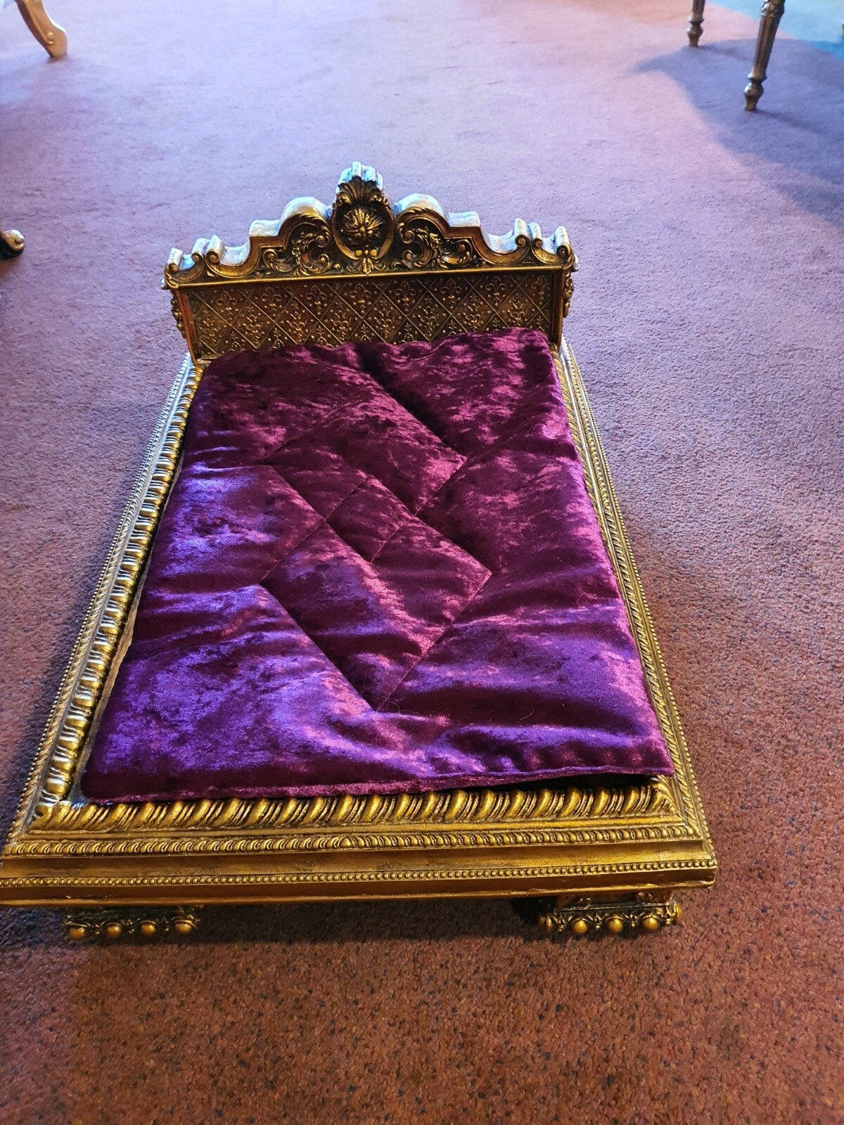 gold cat bed