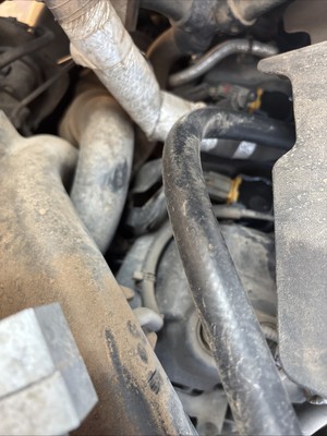 Fotos del artículo de un comprador verificado