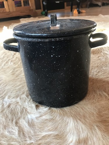 Vintage Blue Speckle Graniteware 8 Quart Stock Pot with Lid