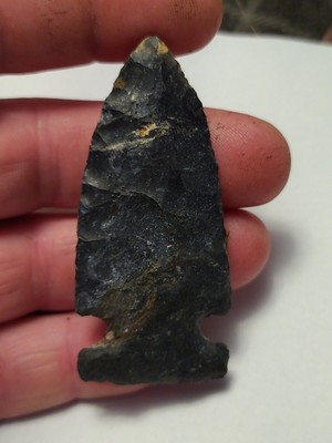 Stillwell Coshocton 3 3/4'' x 1 3/4''