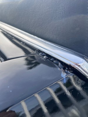 image 13 of exterior