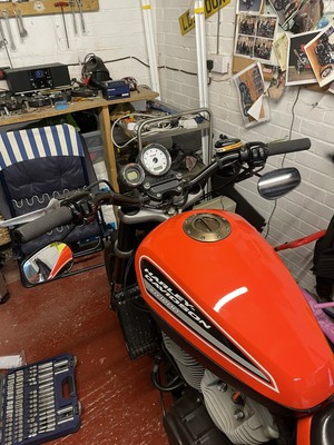 Artikelfoto(s) von einem verifizierten Käufer