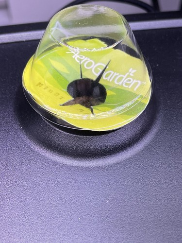 Fotos del artículo de un comprador verificado