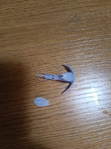 Foto dell'oggetto di un acquirente verificato