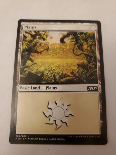 MTG Plains Core Set 2020 262/280 Regular Land | eBay